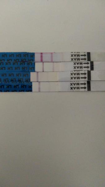 Může Mirena ovlivnit hladiny FSH a plodnost?