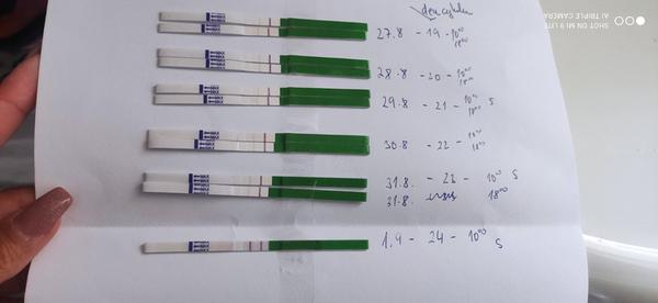 Ovulační test. Je to 100% ovulace? Mohlo z toho něco být?