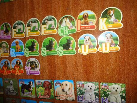 Magnety kostíci pejsci, 