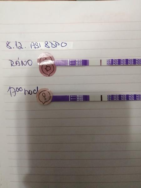 Může být těhotenský test ráno negativní a večer pozitivní?