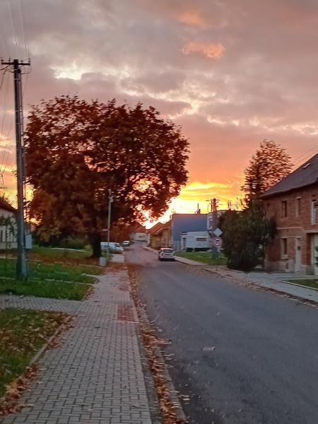 Jak včas zajistit doporučení lékaře na císařský řez?