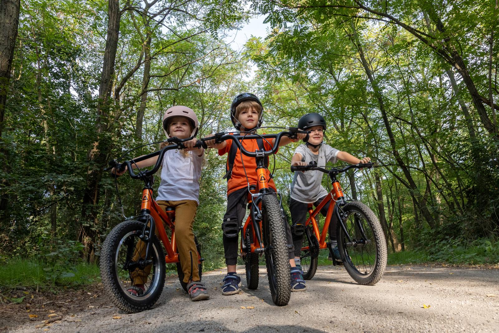 BikeUP