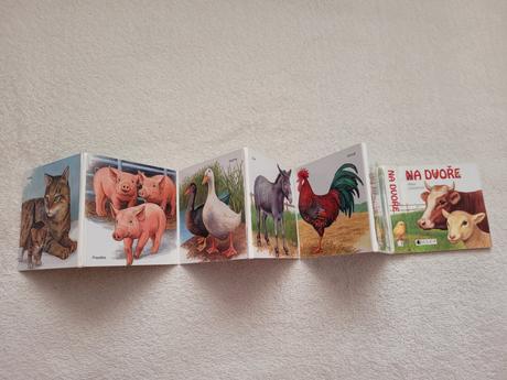 Leporelo "na dvoře",