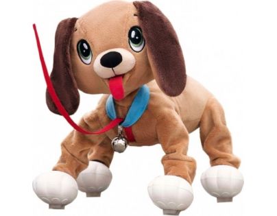 Pejsek Floppy. Máte s ním zkušenosti?