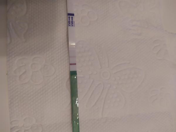 Jsem 7. DC. Blíží se podle testu ovulace?