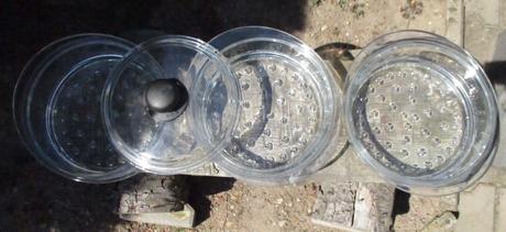 Skleněné parní nástavce s poklicí set 4ks, 