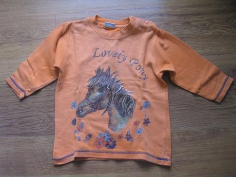 Mikina s koníkem, 98