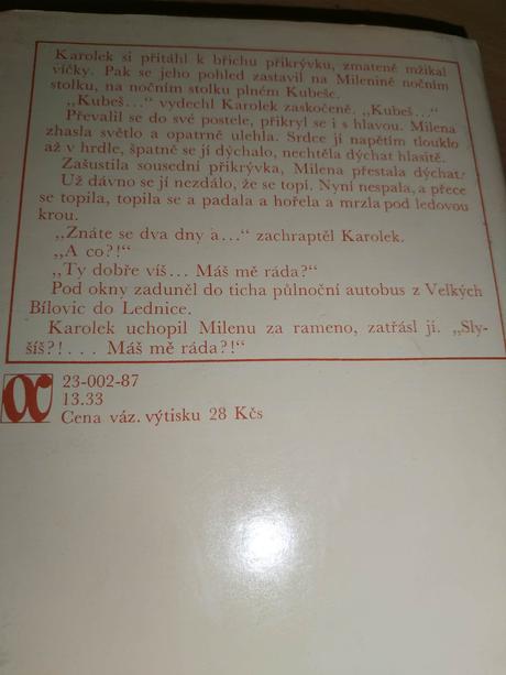 Kniha - co by bylo, kdyby to byla láska,
