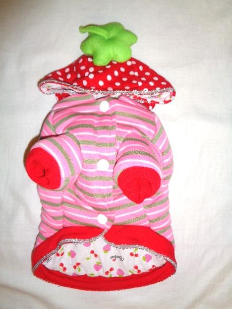 Luxusní zimní obleček pro pejska - jahoda - 27 cm,