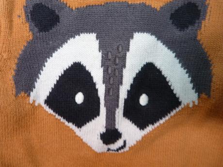 Bavlněný svetřík vel. 80, f&f,80