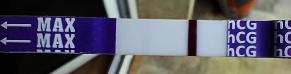 Mohu být těhotná i přes krátký cyklus?