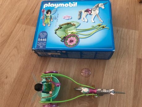 Motýlková víla v kočáru zapřaženém do jednorožce., 