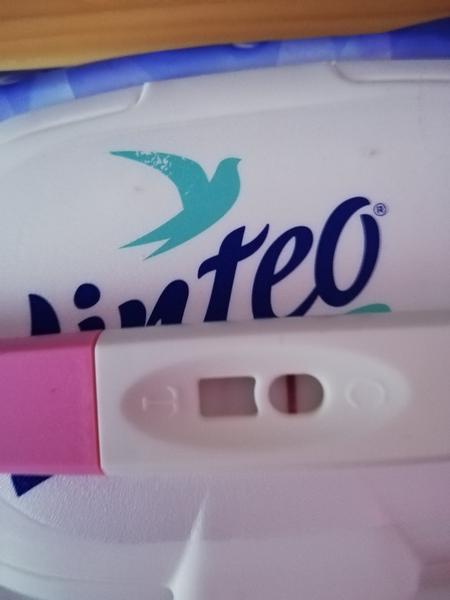 Den před ms. Je tam něco?