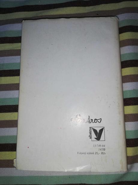 Kniha - trojka minus aneb stalo se v páté a, 