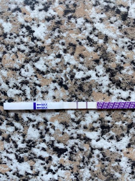 Pozitivní ovulační test dnes. Co dál?