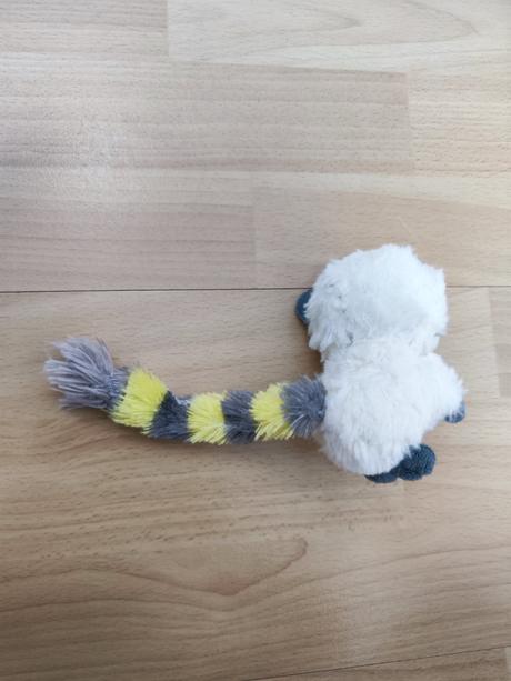 Plyšák lemur, 