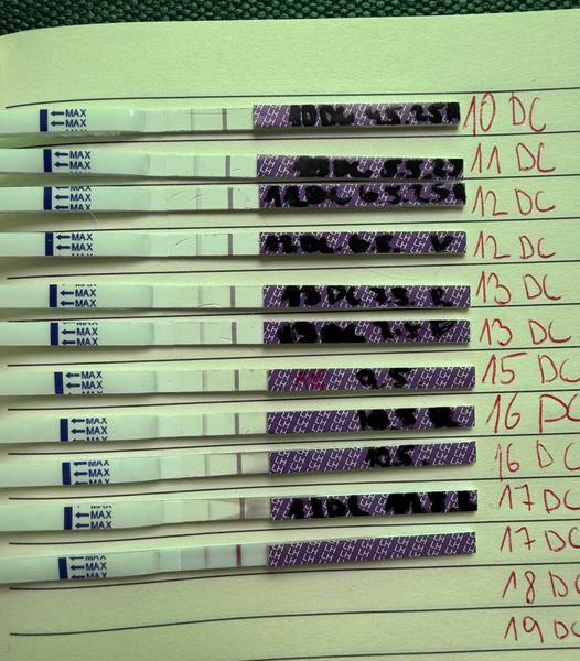 Ovulace. Bude tentokrát silná a dostatečná?