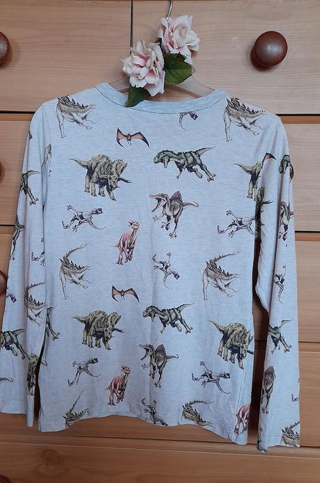 Melírové dinosauří tričko s dlouhým rukávem, h&m,128