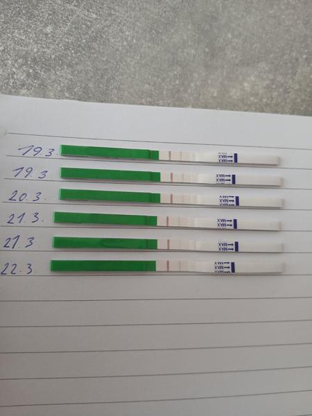 Ovulační testy. Sílí?