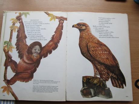 Velká obrázková knížka o zvířatech - bohumil říha,