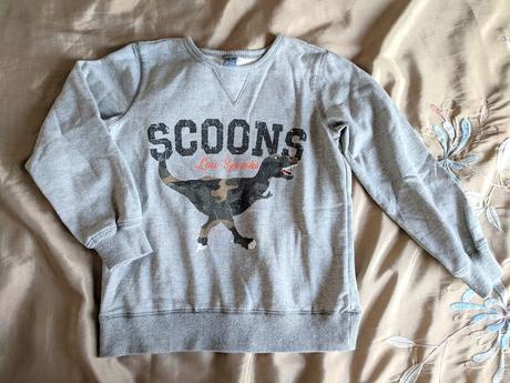 Mikina s dinosaurem, dopodopo,122