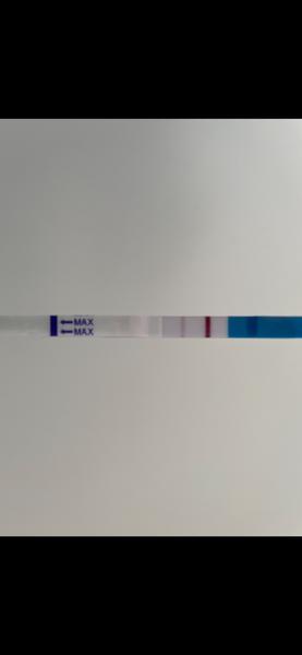 Může silná čárka na testu znamenat těhotenství?