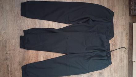 Pánské tepláky, l