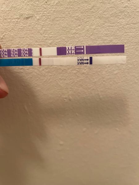 Posouzení těhotenského testu. Jedná se o těhotenství?