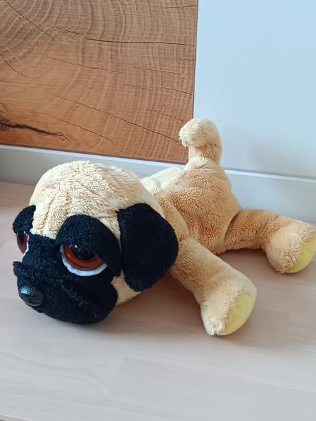 Plyšový pejsek mops vykulínek,