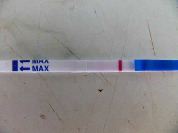 Co si myslíte o tomto výsledku těhotenského testu?