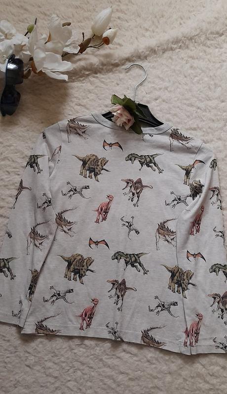 Melírové dinosauří tričko s dlouhým rukávem, h&m,128