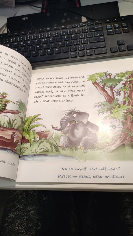 Slůně babů a spravedlivé dělení,
