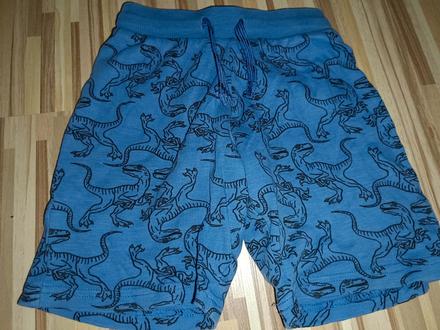 Kraťase s dinosaury 104 next, next,104