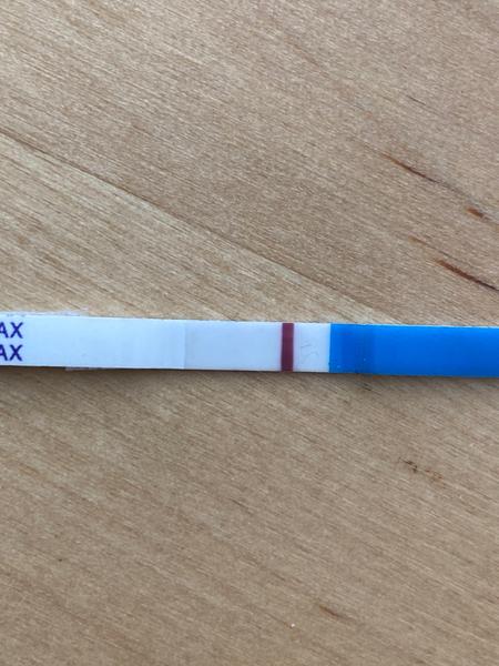 Sněhobílo. Co myslíte?