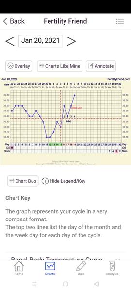 Ovulace podle bazální teploty. Proběhla 15.dc nebo až 17.dc?