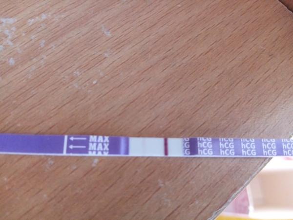 Je to těhotenství?