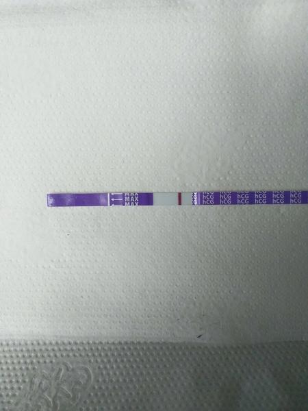 Ukazoval těhotenský test Sluníčko rysku?