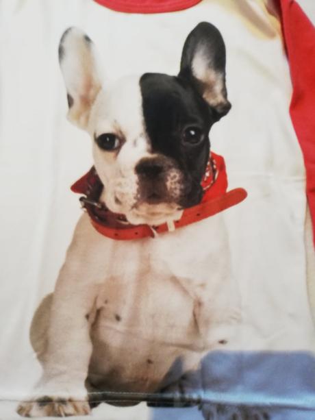 Triko s pejskem vel.110, 110