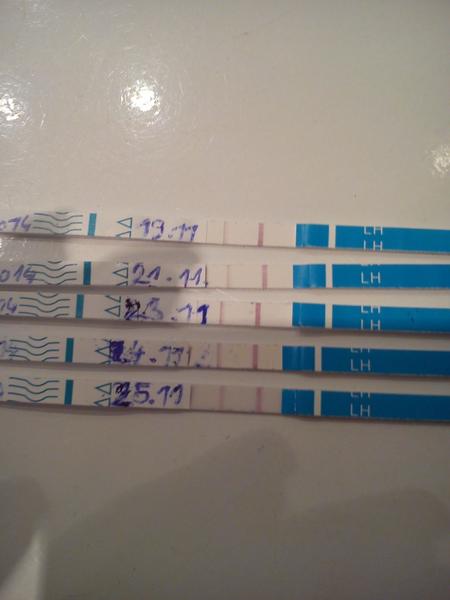 Byla ovulace, nebyla, bude? Nebo testovat dál?