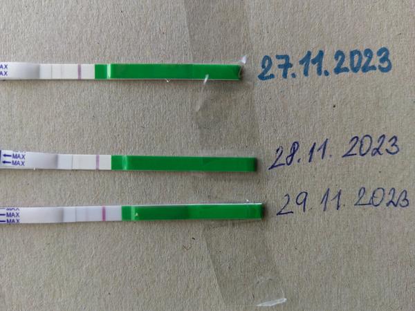 Měli bychom se dnes začít snažit? Ovulační testy sílí!