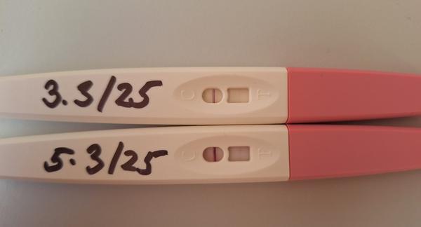 Test. Stále negativní?