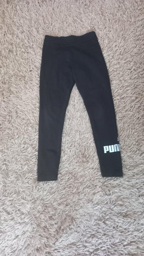Leginy, puma,134
