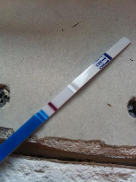 14 DPO na testu mikroduch: pravda nebo vlčí mlha? 🙂)