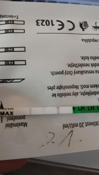 Ovulace. Myslíte, že by mohla přijít?