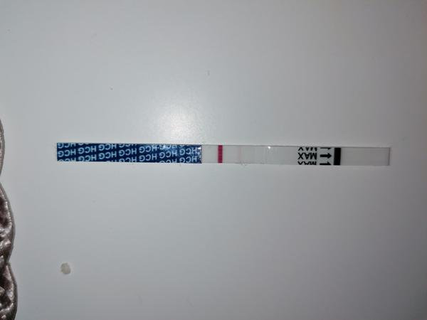 Prosím, vidíte tam něco? Nebo jen má představa...