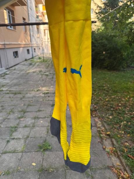 Štulpny, puma