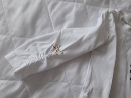 Body s labutí, coccodrillo,68