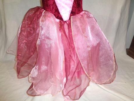 Karneval - šípková růženka, 