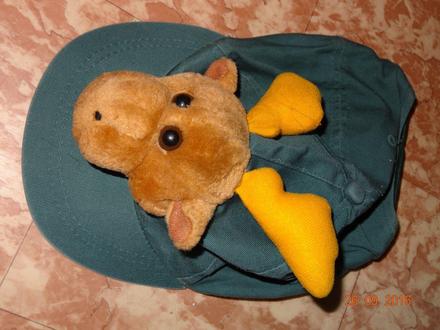 Zelená kšiltovka, 116