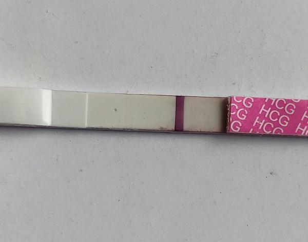 Je Livsanez těhotenský test spolehlivý? Zkušenosti uživatelů